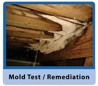 Indianapolis Mold Remediation Removal