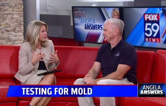 Talking about residential mold testing with Dave Adams from Alpine Group